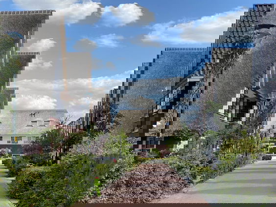 Rieten dak vervangen? Daar hangt nu een groot prijskaartje aan