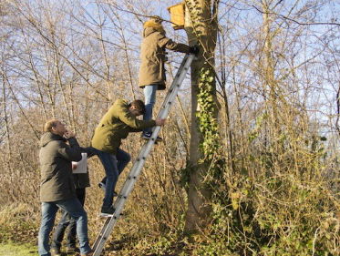 Spreeuwen in strijd tegen onbespeelbare voetbalvelden