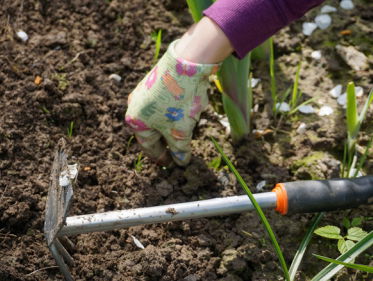 Tips voor een duurzame tuin