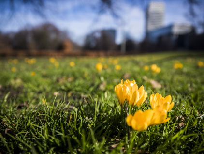 Nieuwe site flora en fauna in jouw buurt