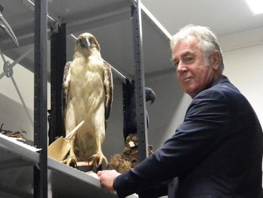 Natuurmuseum Brabant: De apenarend