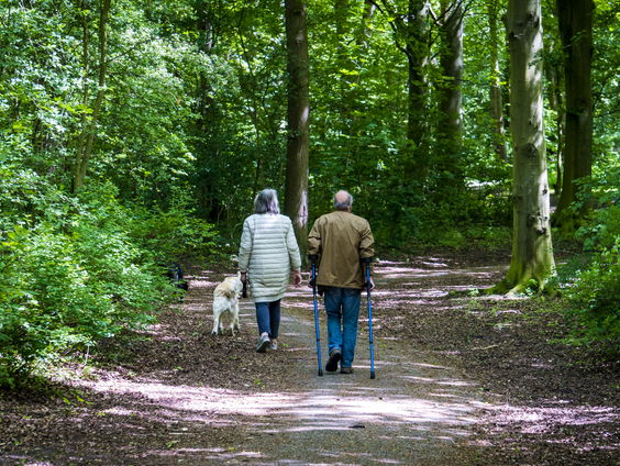 Wetsvoorstel Duitsland: Twee keer per dag je hond uitlaten