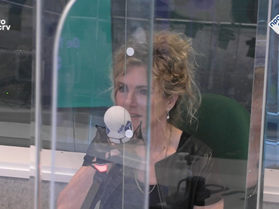 De Taalschat: Strepen aan de hemel - G.L. Durlacher