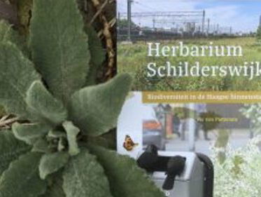 De 330 planten van de Haagse Schilderwijk