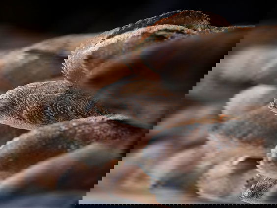 Gasprijzen, maar ook de baguette steeds duurder in Frankrijk