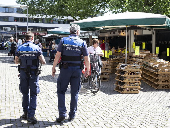 Stand.nl: Er wordt te veel verwacht van de boa’s