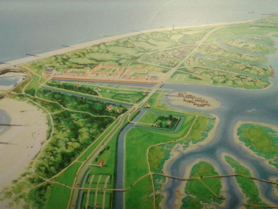 Waterdunen: op de grens van land en zee