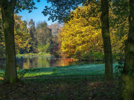 Het landschap van Overijssel