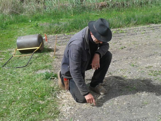 Tuinverhalen Jan Graafland: de kamille