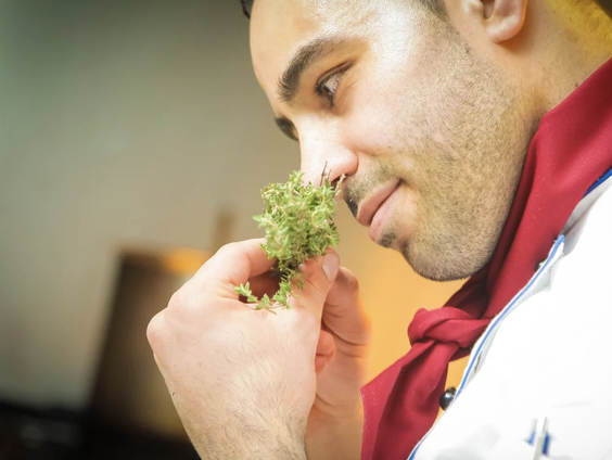 Geen neus meer nodig?