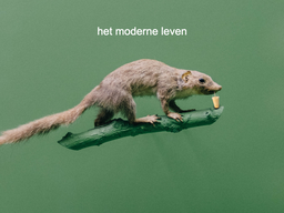 Radio Doc: Het moderne leven - deel 1