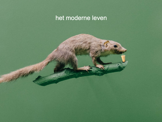 Radio Doc: Het moderne leven - deel 1