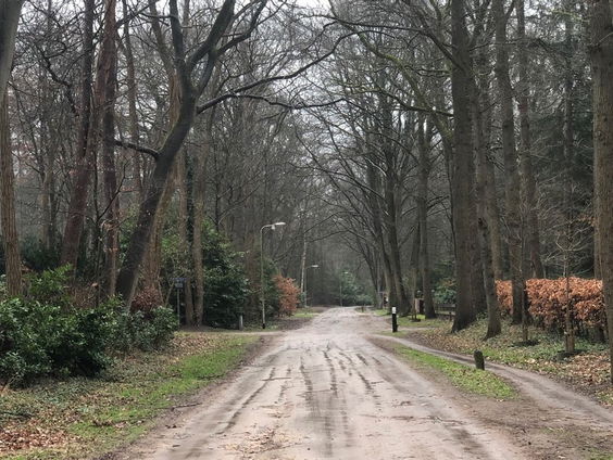 Behoud de zandweg, kwabaal, fenolijn en overige onderwerpen