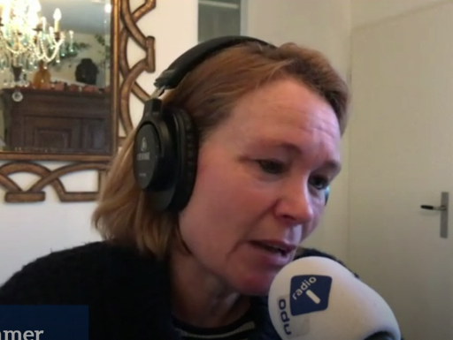 Wat is de relatie tussen de darmen en de hersenen?