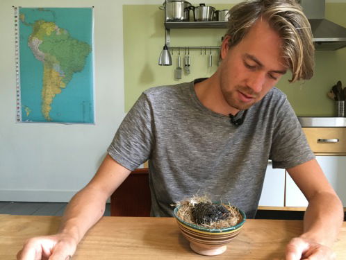 Uit nest gevallen koekoek wel of niet redden?