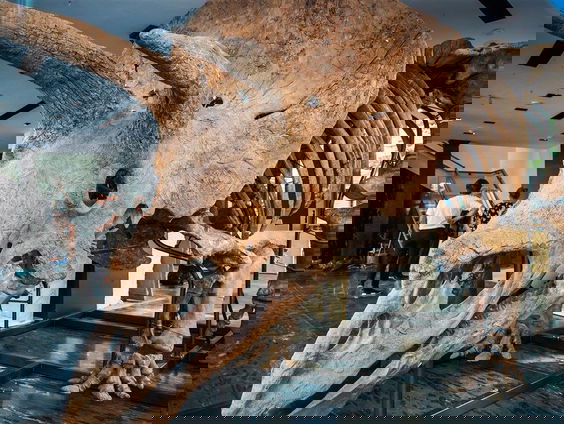 Lekker bikken aan een dino