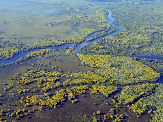 Pantanal staat in brand