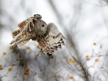 Start ‘Beleef de Lente’: de camera's staan aan