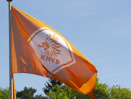 Nederland 3-1 Bosnië