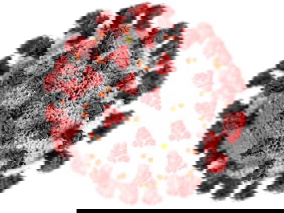 Een groep mensen kan geen corona krijgen, wie zijn dit?