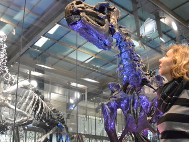 Botten van de Borinage