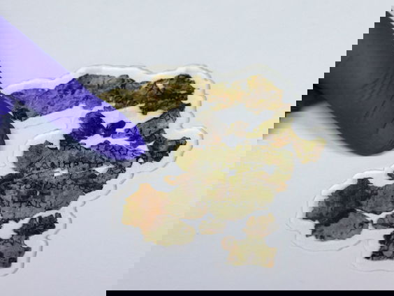 Onderzoekers vinden aanwijzing over schrijvers Dode Zeerollen