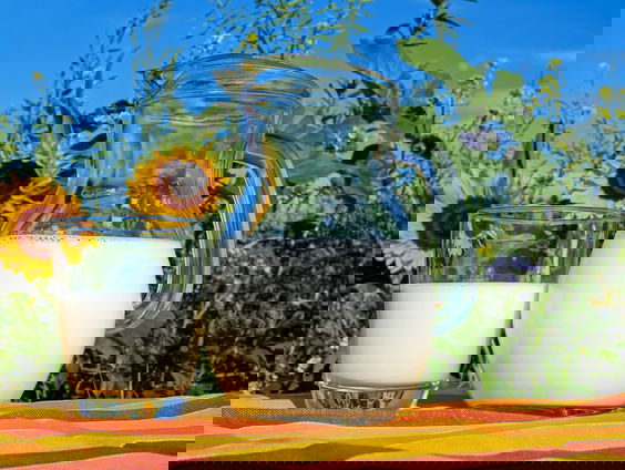 Is melk goed voor elk, of voor niemand?