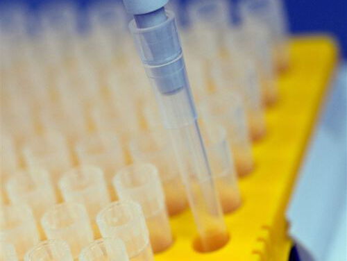 Organoïden: het alternatief voor proefdieren