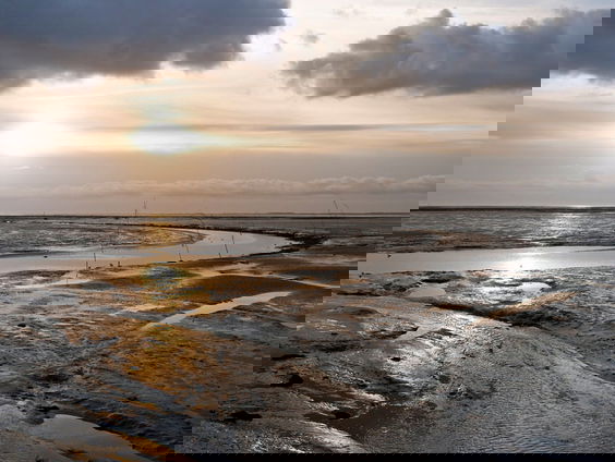 'Het waddengebied is een uniek stukje natuur in de wereld'