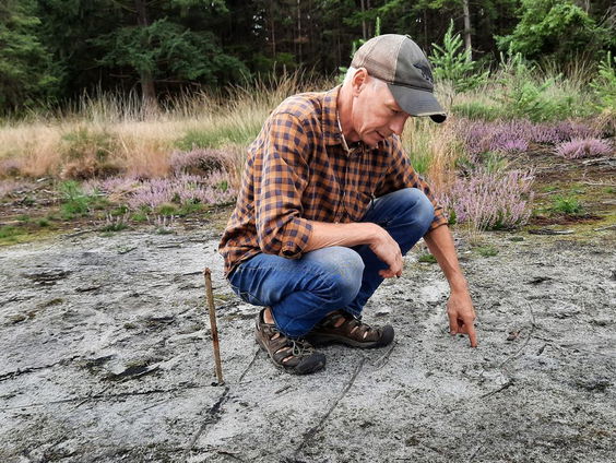 De natuur als kompas