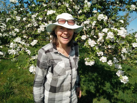 Groen explosie in de moestuin