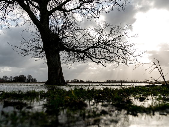 Deel van Biesbosch afgesloten tijdens pinkerweekend