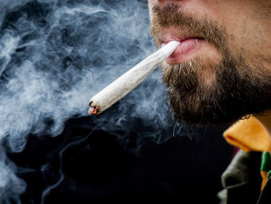 'Bij gedoogbeleid van wietteelt heb ik een 100 procent legale zaak'