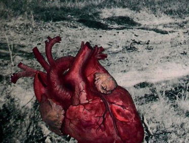 Winnaar VSB Poëzieprijs 2018: Joost Baars