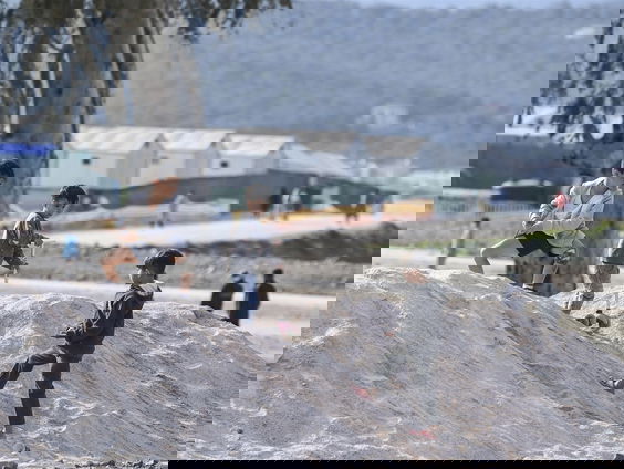 Ontsnapt aan de Griekse kustwacht