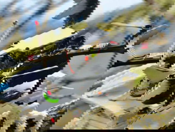 Robotvogel kan landen op elke tak