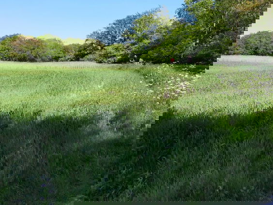 Westerwolde: een goed bewaard geheim