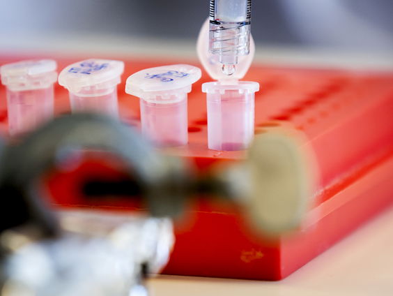 GGD over toename coronabesmettingen Hillegom