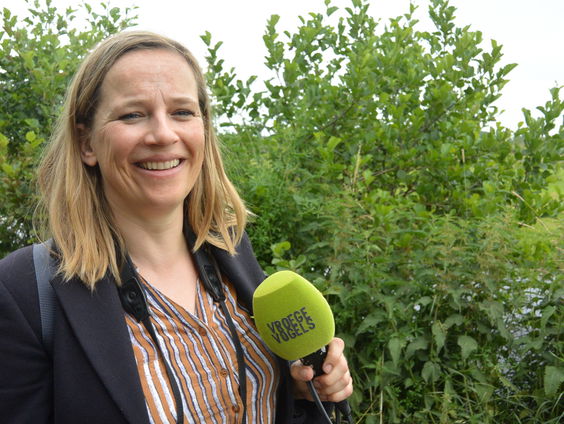 Column van Lies Visschedijk: Wat voelt een kikker?