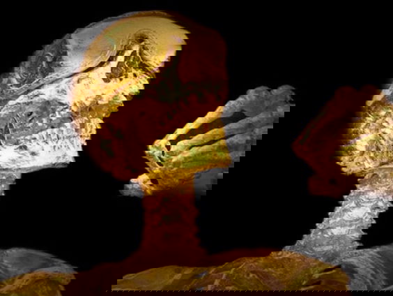 Gouden skeletten geveild