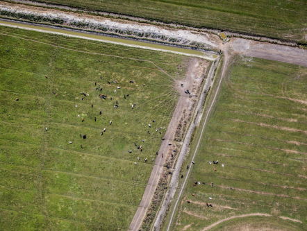 De Optimist: Maak je eigen natuurgebied