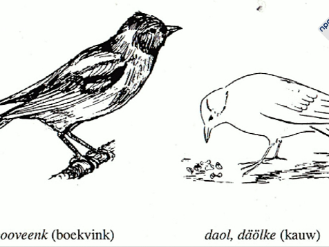 Vogels in dialect: Cadier en Keer