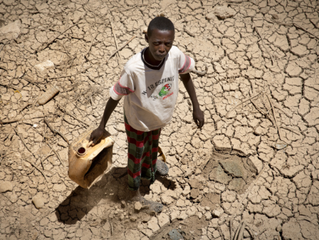 Mediaforum met Aart Zeeman en Sjors Fröhlich