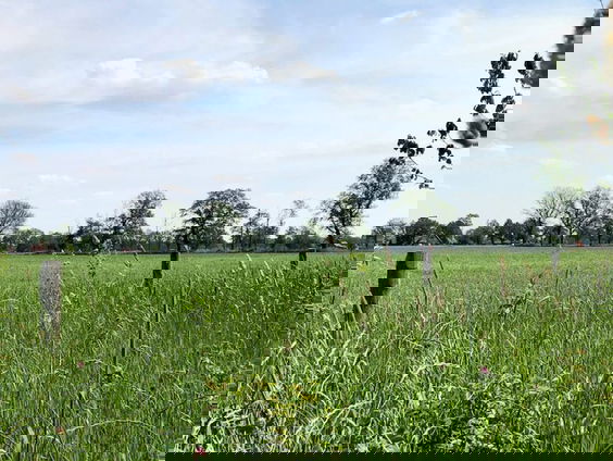Berkelland maakt einde aan ‘landjepik’