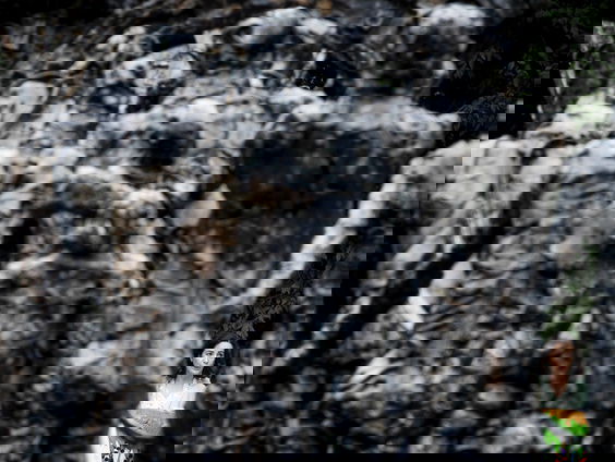 Ethisch kolonialisme werkte uiteindelijk averechts