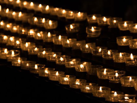 Protest tegen stalbranden