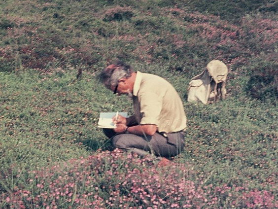 De Nederlandse Darwin