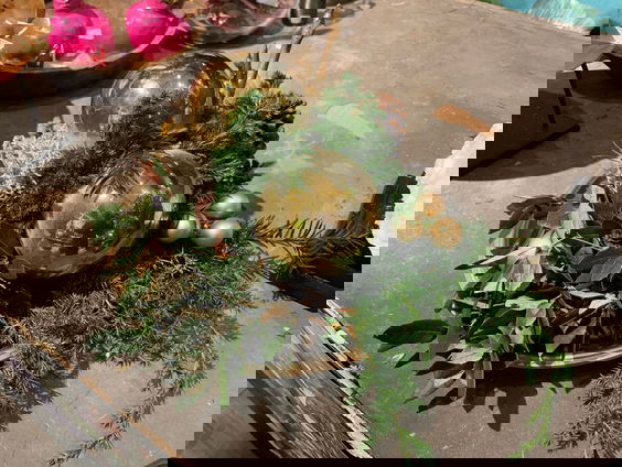 Verantwoord bloemen kopen: hoe doe je dat?