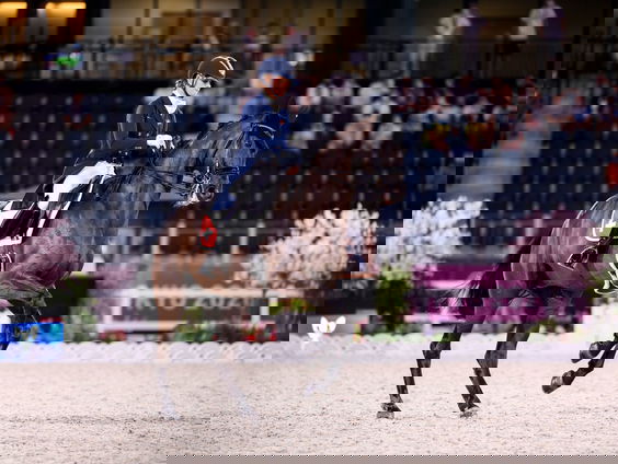 Waarom muziek zo belangrijk is bij dressuur