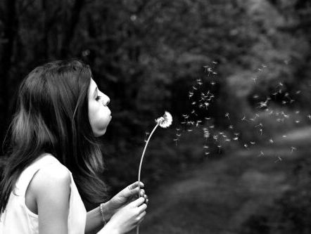 Wat wenst u op wensdag?